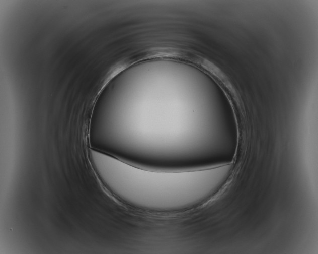 X0000086021377200703230923