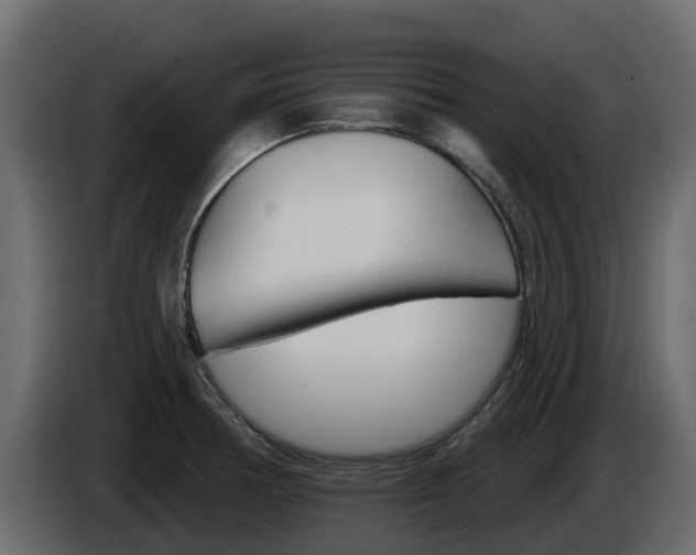X0000086021378200703230923
