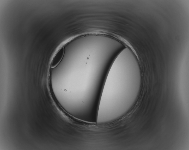 X0000086021379200703230923