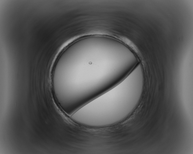 X0000086021380200703230923