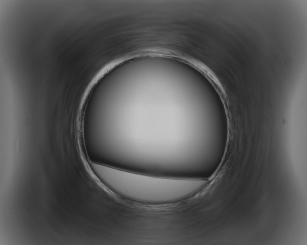 X0000086021381200703230923
