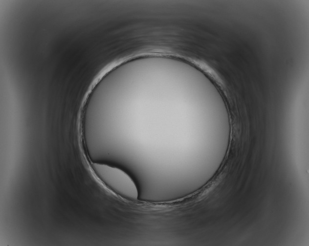 X0000086021382200703230923