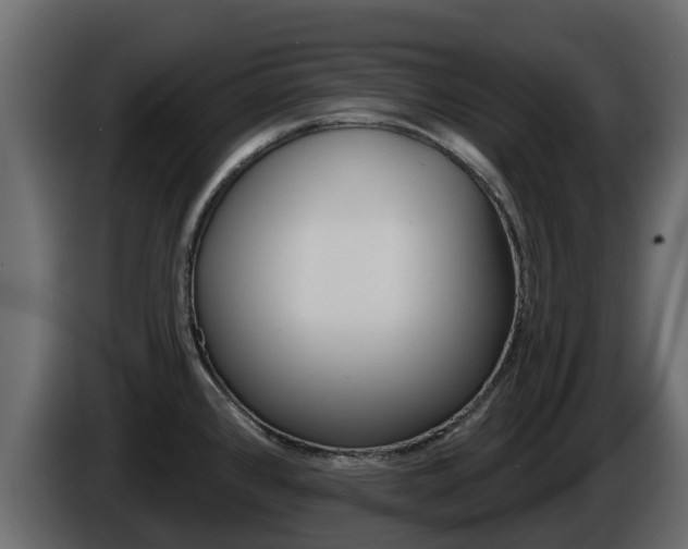 X0000086021384200703230923