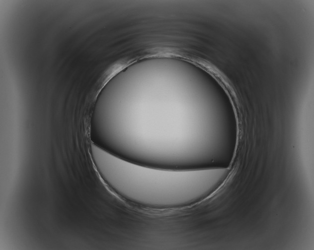 X0000086021385200703230923