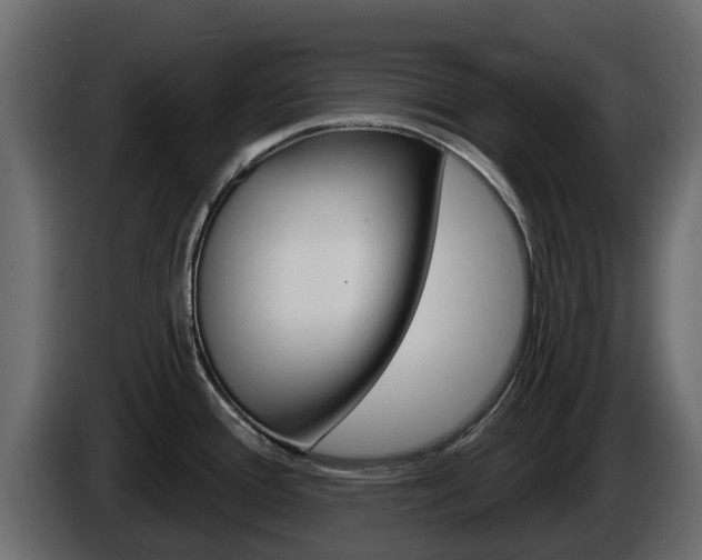 X0000086021388200703230923