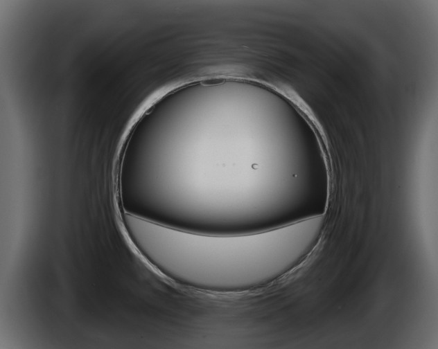 X0000086021389200703230923