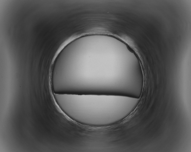 X0000086021390200703230923