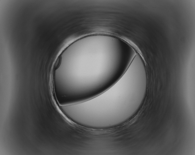 X0000086021391200703230923