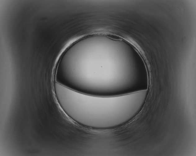 X0000086021392200703230923