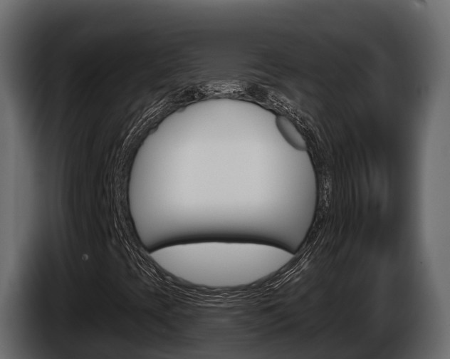 X0000086021393200703230922