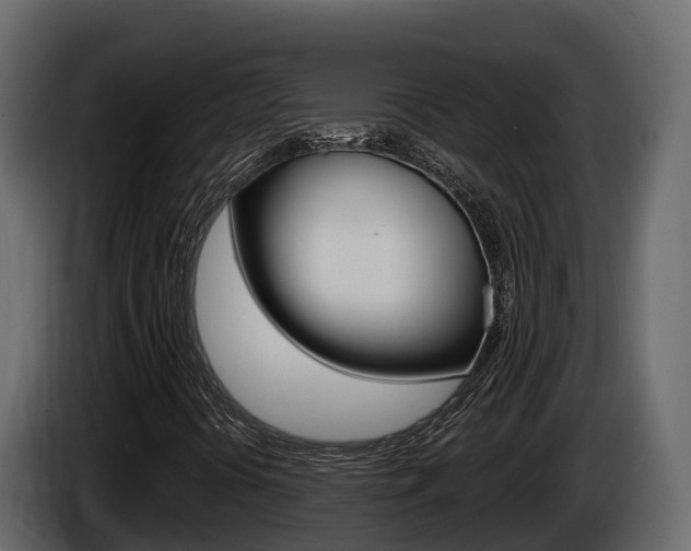 X0000086021394200703230922