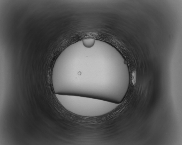 X0000086021395200703230922