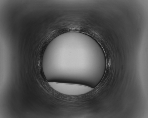 X0000086021396200703230922