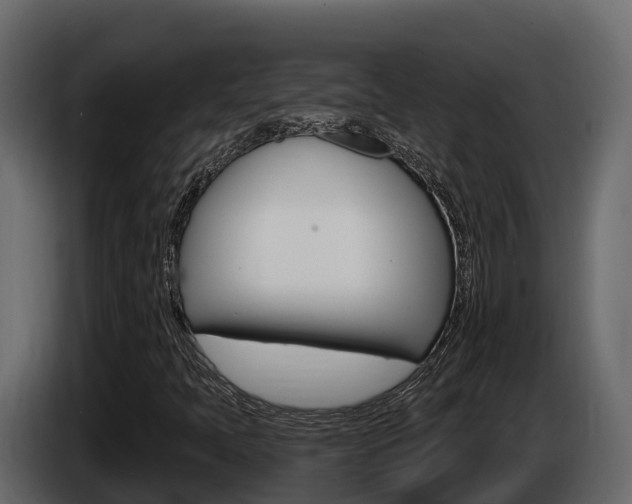 X0000086021397200703230922