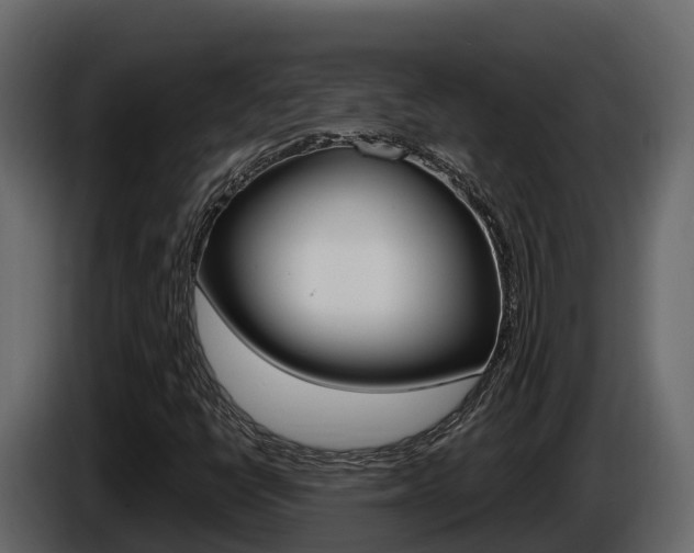 X0000086021398200703230922
