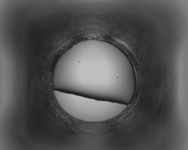 X0000086021399200703230922