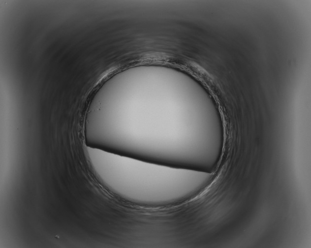 X0000086021401200703230922