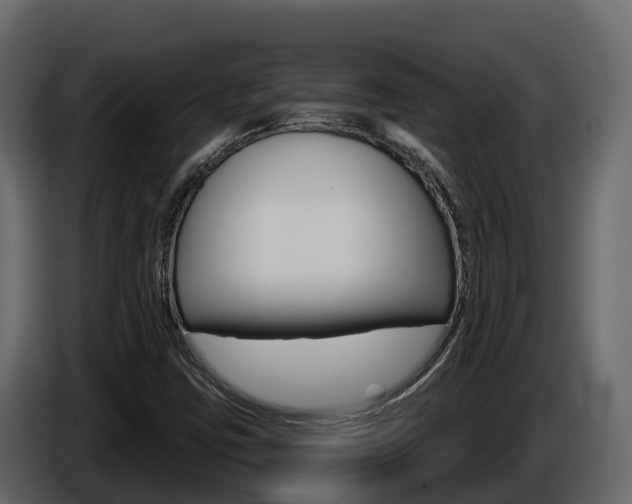 X0000086021403200703230922