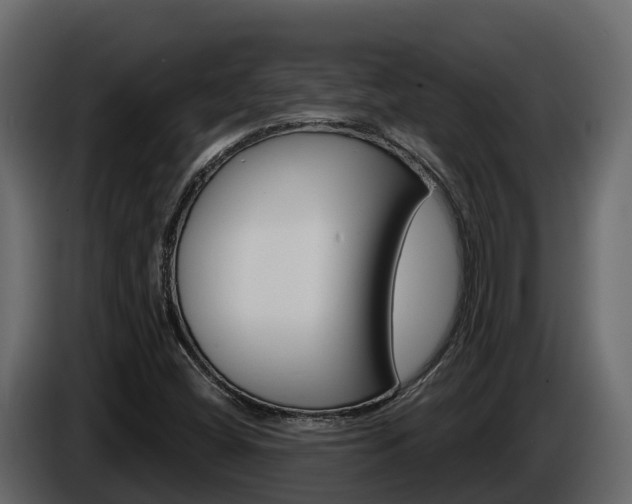 X0000086021404200703230922