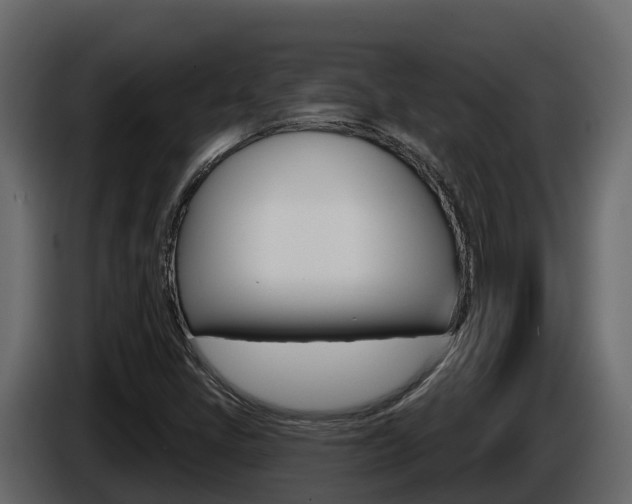 X0000086021405200703230922