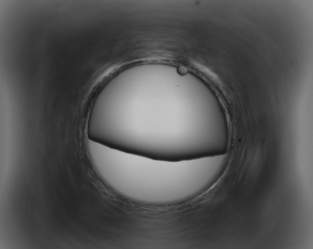 X0000086021407200703230922