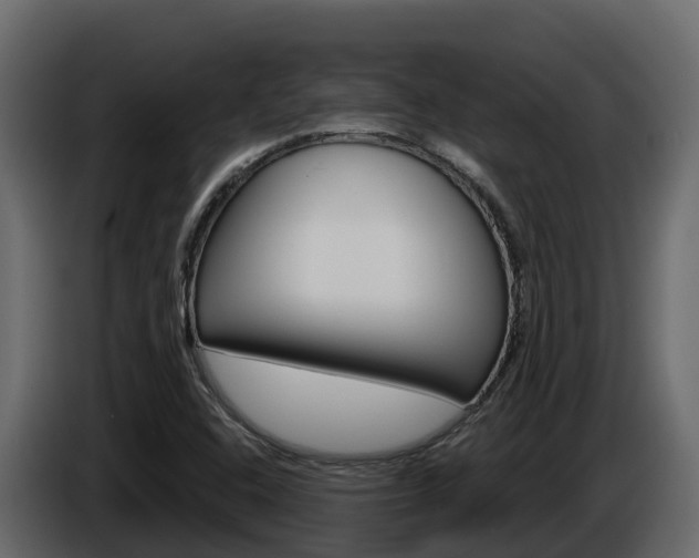 X0000086021408200703230923