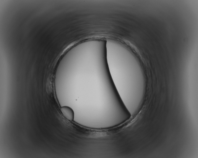 X0000086021409200703230923