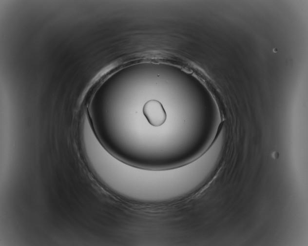 X0000086021410200703230923