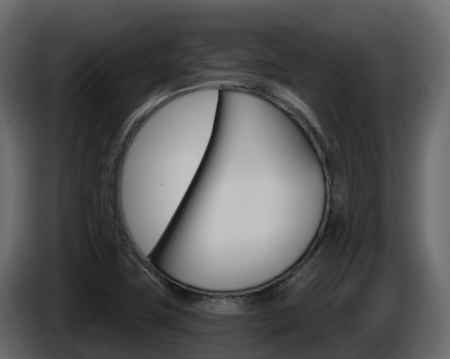 X0000086021411200703230923