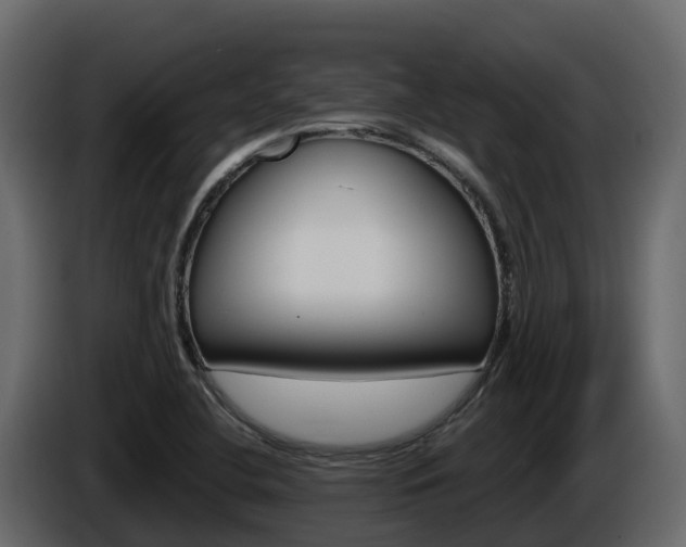 X0000086021412200703230923