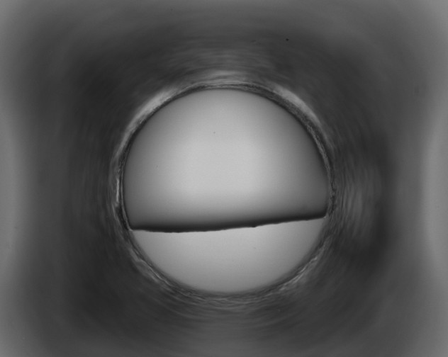 X0000086021413200703230923