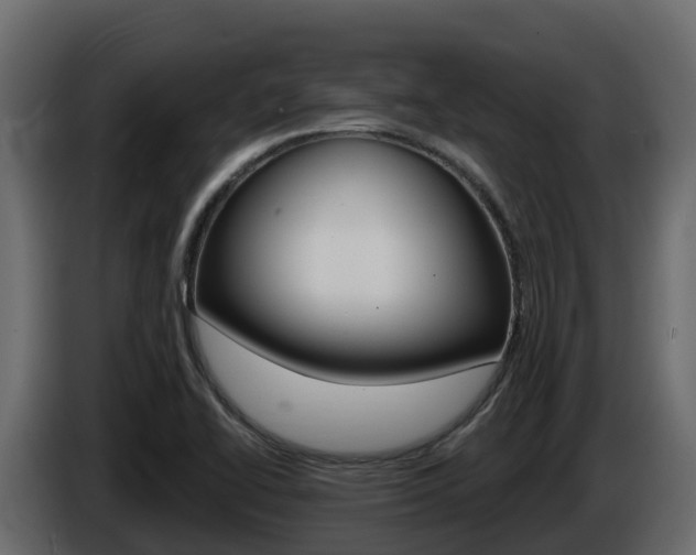 X0000086021414200703230923