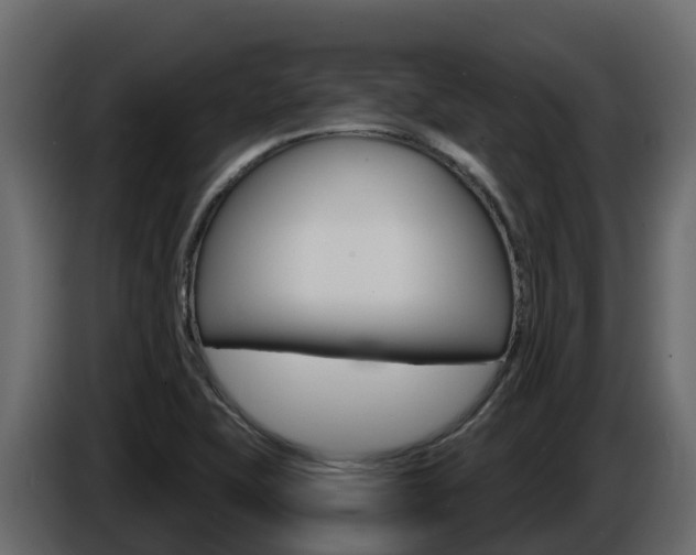 X0000086021415200703230923