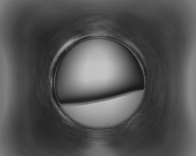 X0000086021416200703230923