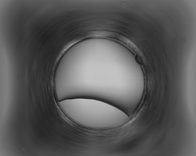 X0000086021417200703230923