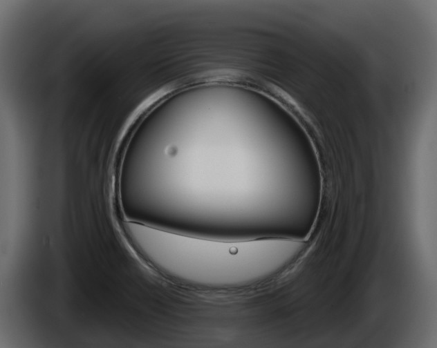 X0000086021418200703230923