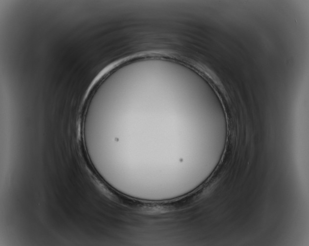 X0000086021420200703230923