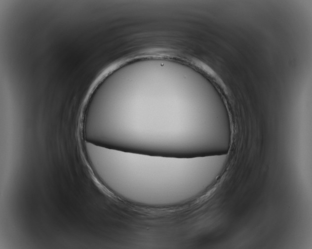 X0000086021421200703230923