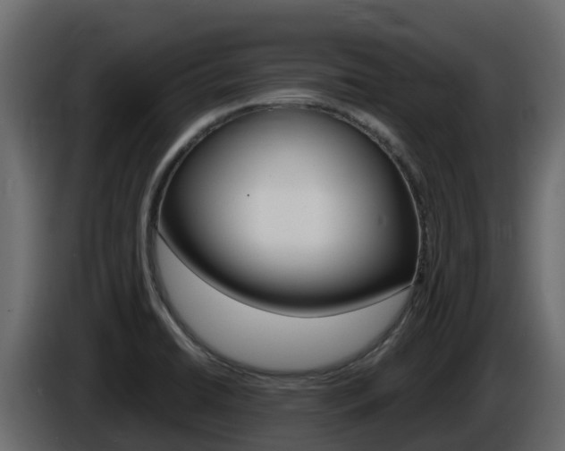 X0000086021422200703230923