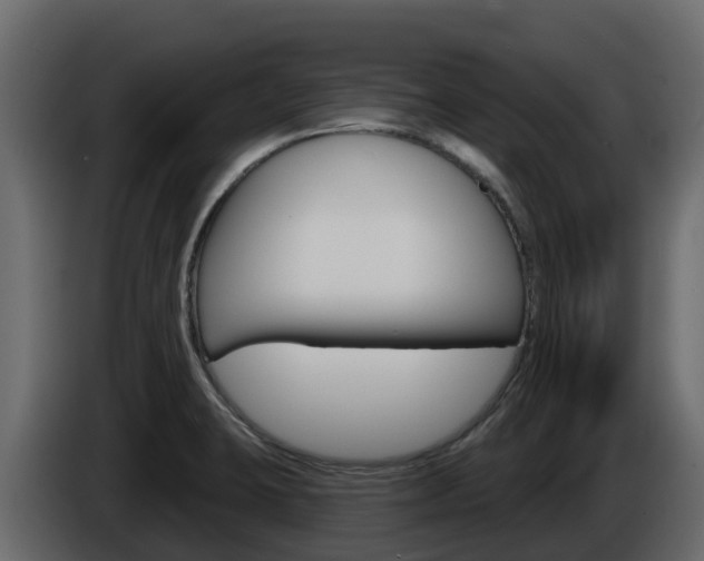 X0000086021423200703230923