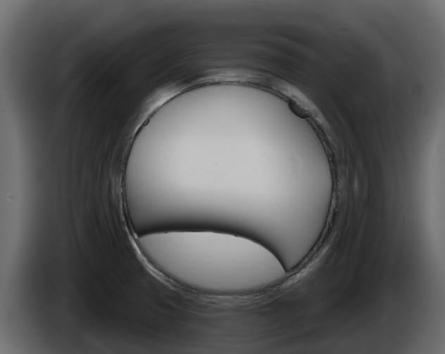 X0000086021425200703230923