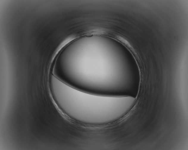 X0000086021426200703230923