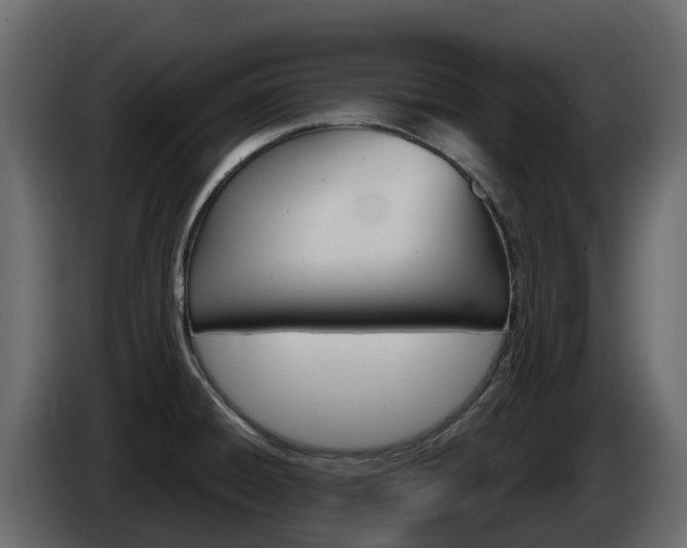 X0000086021428200703230923