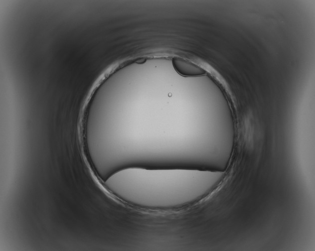 X0000086021429200703230923