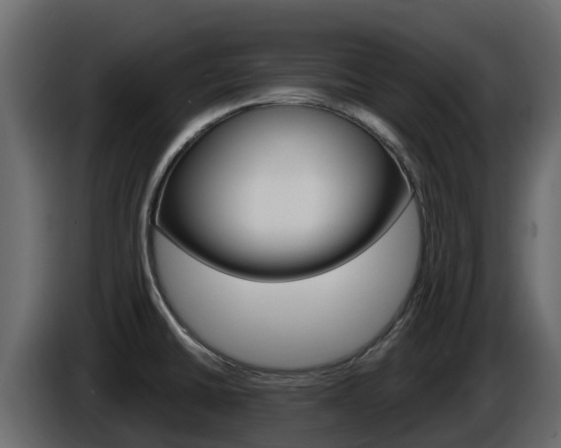 X0000086021430200703230923