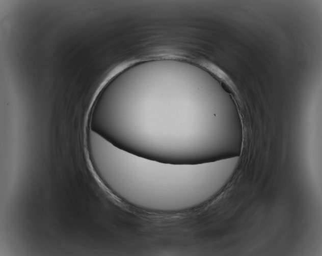 X0000086021431200703230923