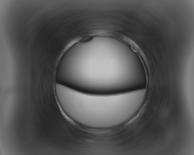 X0000086021433200703230923