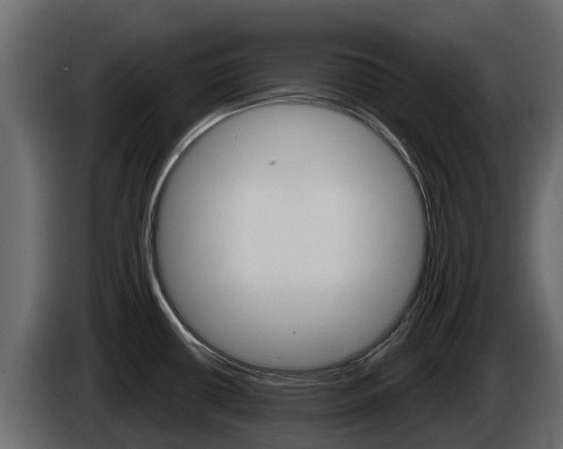 X0000086021434200703230923