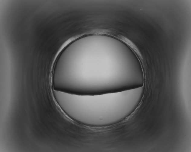 X0000086021436200703230923