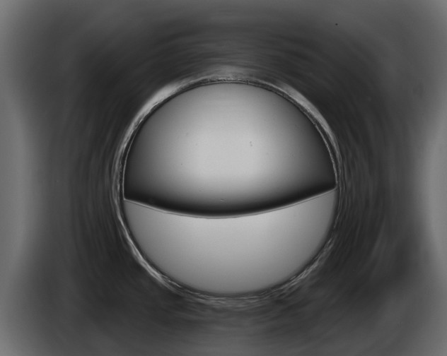 X0000086021437200703230923